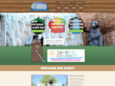 bigdons.com snapshot