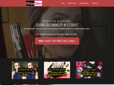 wiseshe.com snapshot