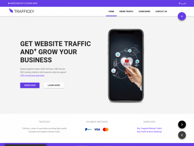trafficey.com snapshot