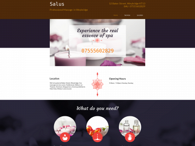saluswellbeing.co.uk snapshot