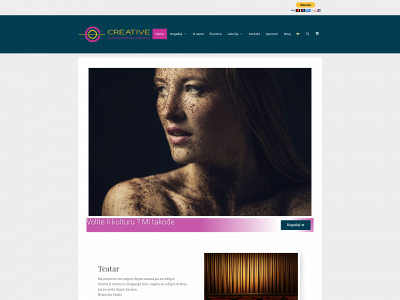 ccinitiative.se snapshot