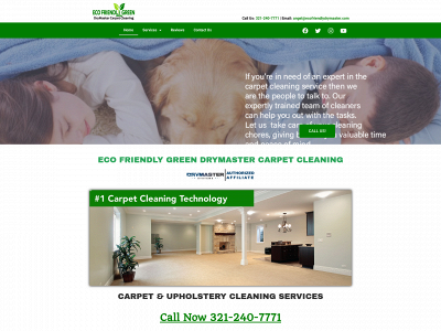 www.ecofriendlydrymaster.com snapshot