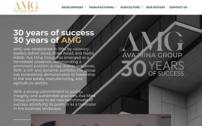 avaminagroup.com snapshot