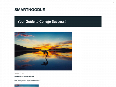 smart-noodle.com snapshot