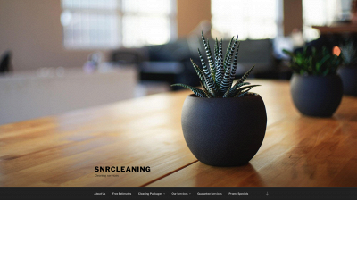 snrcleaning.com snapshot