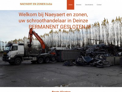 naeyaertenzonen.be snapshot