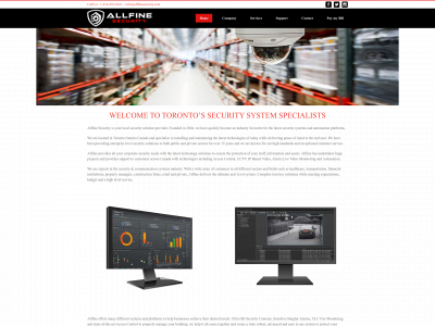 allfinesecurity.com snapshot