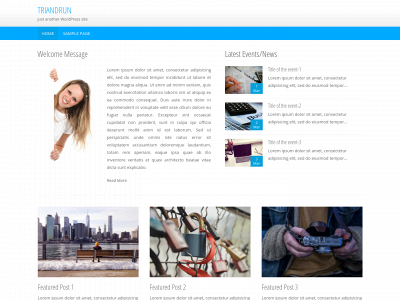 triandrun.uk snapshot