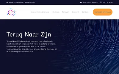 terugnaarzijn.nl snapshot