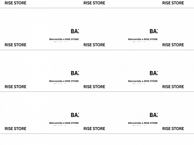 risestore.es snapshot