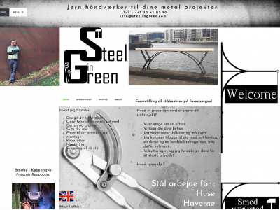 steelingreen.com snapshot
