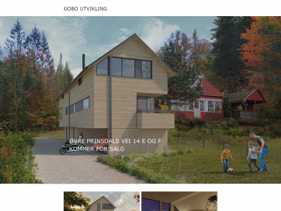 goboutvikling.no snapshot