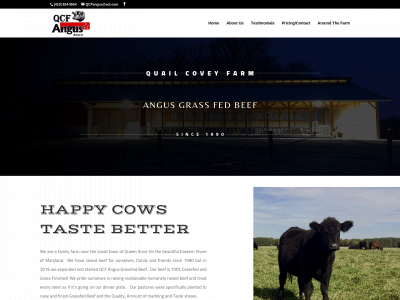 qcfangusgrassfedbeef.com snapshot