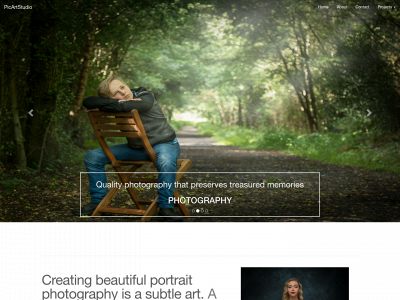 picartstudio.co.uk snapshot