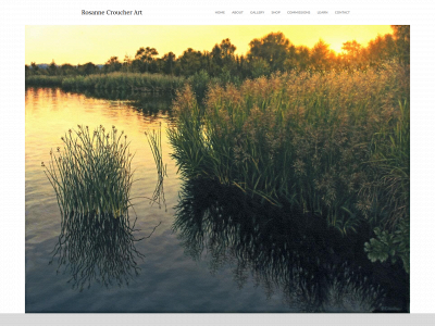 www.rosannecroucher.com snapshot