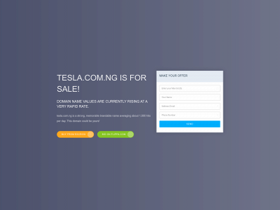 tesla.com.ng snapshot