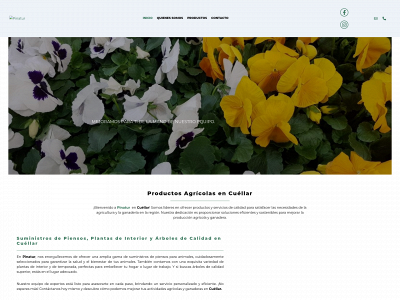 www.pinatur.es snapshot