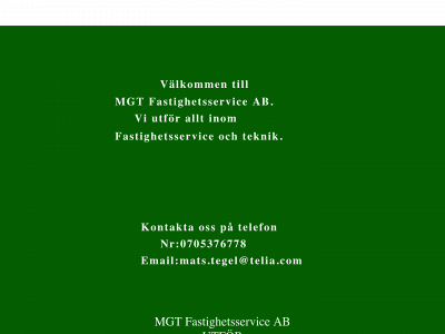 mgtfastighetsservice.se snapshot