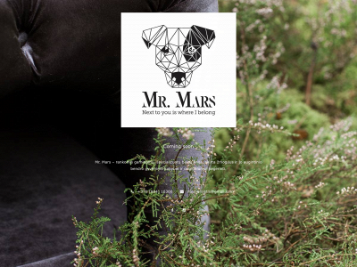 mrmars.lt snapshot