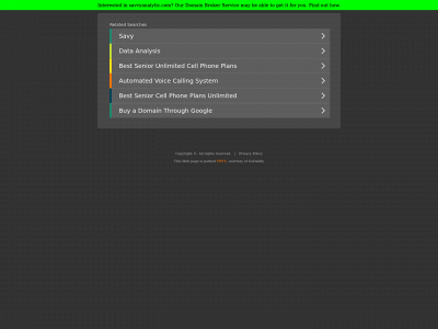 savvyanalytic.com snapshot