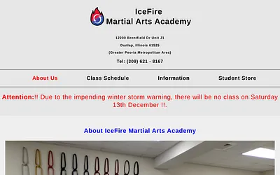 icefiremartialarts.com snapshot