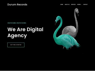 durumrecords.com snapshot