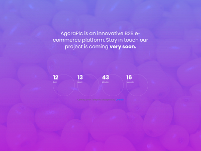 agoraplc.com snapshot