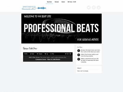 wavsofficial.com snapshot