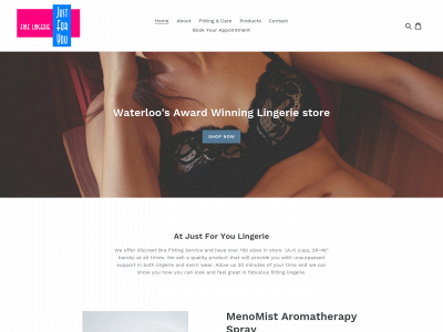 justforyoufinelingerie.com snapshot
