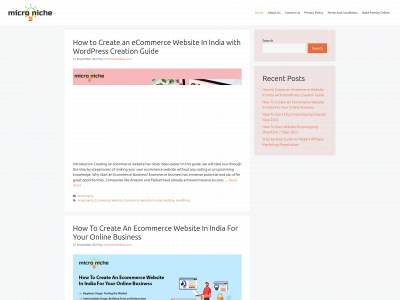 micronicheideas.com snapshot