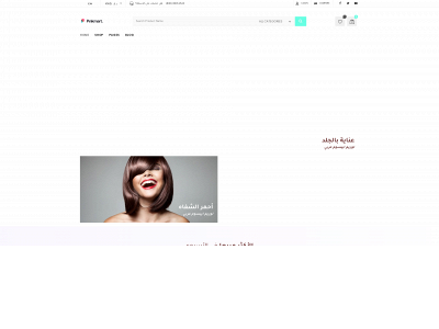 levelaccessories.online snapshot