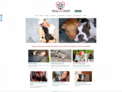strayfromtheheart.org snapshot