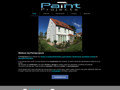 www.paintprojects.be snapshot