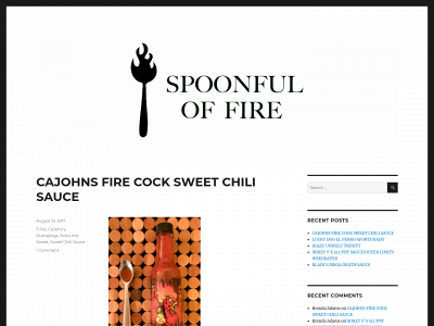 spoonfuloffire.com snapshot