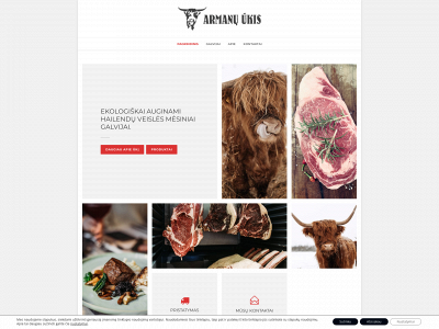 armanuukis.lt snapshot