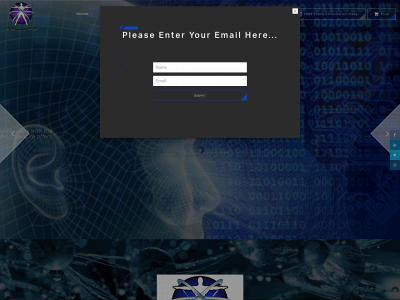 www.newlifeholistic.com snapshot