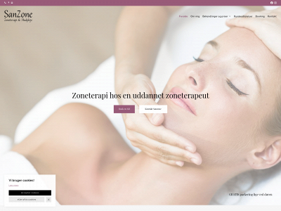 sanzone.dk snapshot