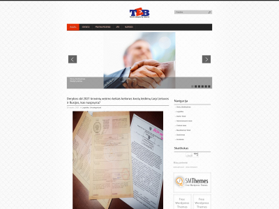 teisesekspertai.lt snapshot