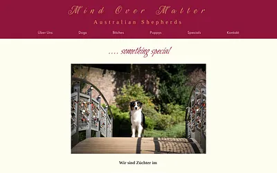 mindovermatter-aussies.com snapshot