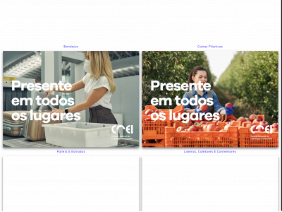 cnei.com.br snapshot