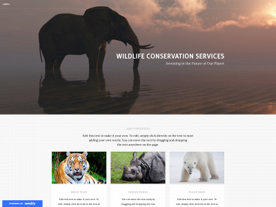jacksonsvenues.weebly.com snapshot
