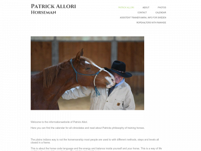 patrickallori.com snapshot