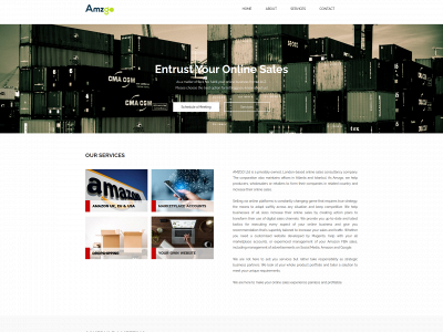 amzgo.co.uk snapshot