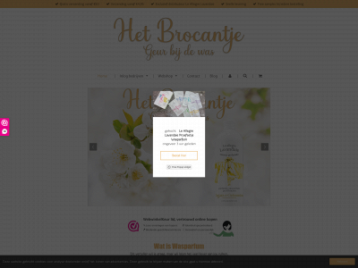 hetbrocantje.nl snapshot