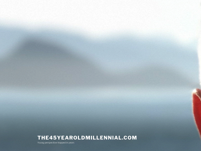 the45yearoldmillennial.com snapshot