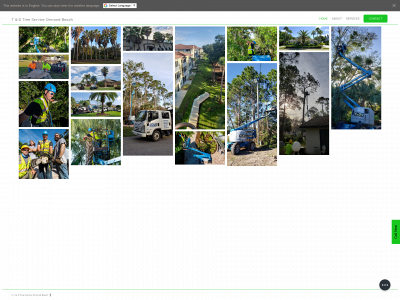 tdtrees.com snapshot
