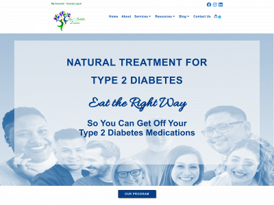theholisticdiabetic.com snapshot