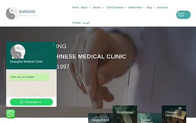 shanghaimedicalclinic.com snapshot