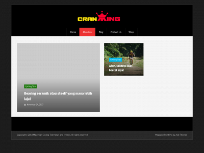 crankking.com snapshot