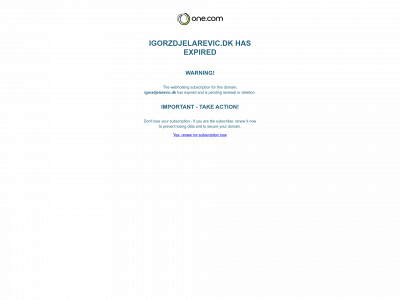igorzdjelarevic.dk snapshot